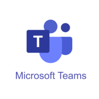the Microsoft Teams platform