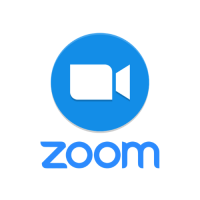 the Zoom platform